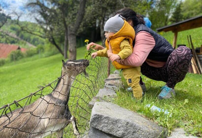 ペンション Penzion V Strani