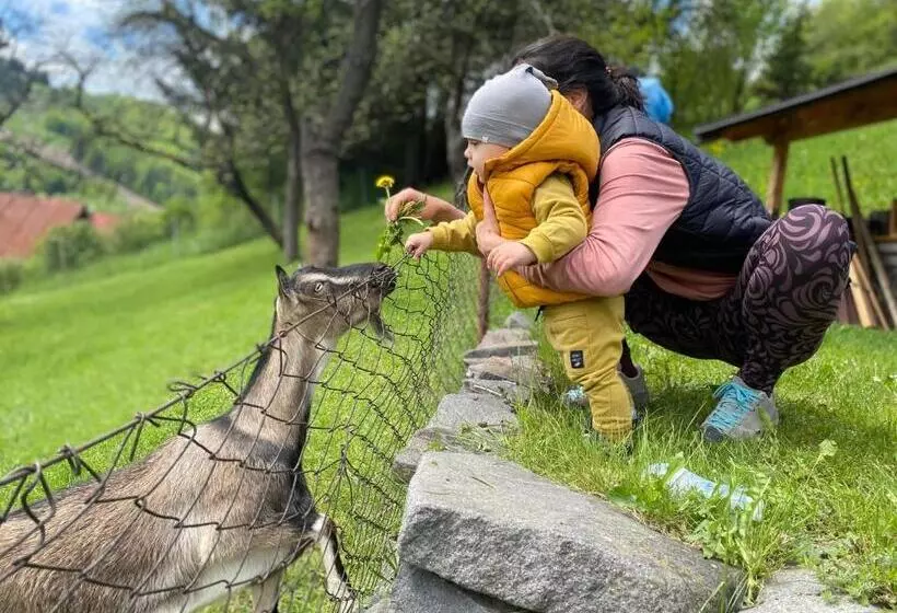 Majatalo Penzion V Strani