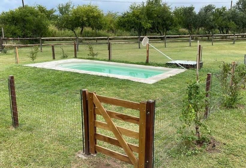 호스텔 La Catalina Suites De Campo