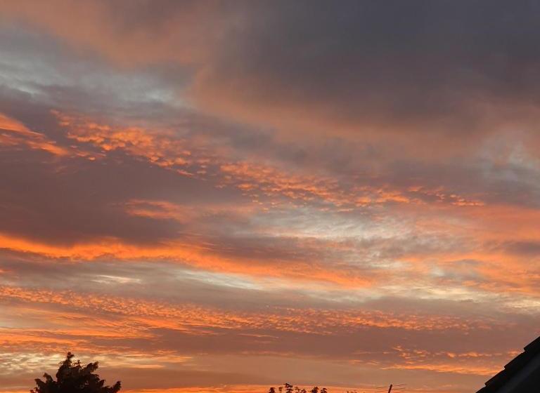 Пансион Avalon