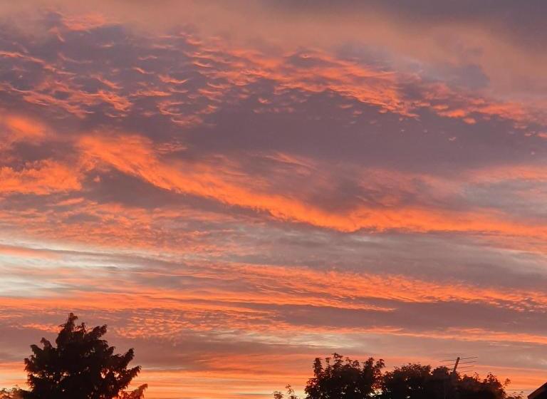 Пансион Avalon