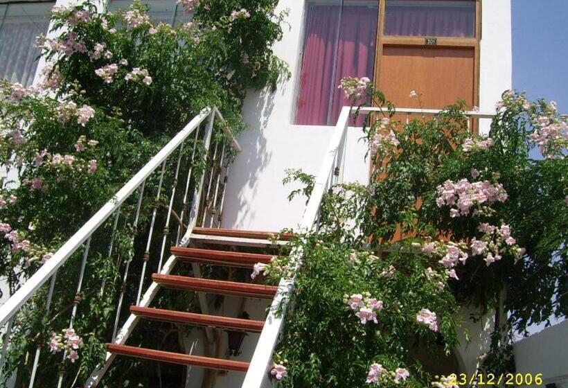 פנסיון Hostal Camiluz