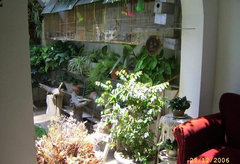 פנסיון Hostal Camiluz