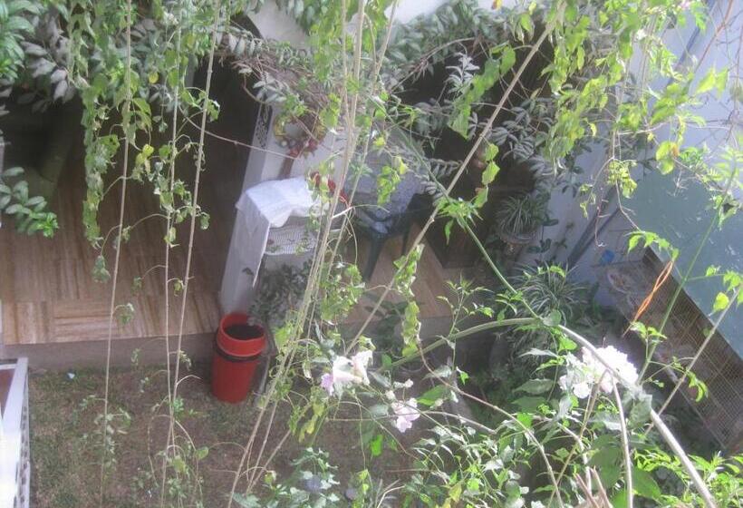 פנסיון Hostal Camiluz