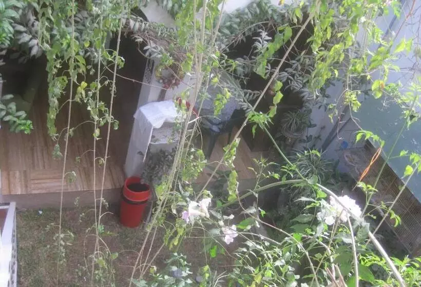 Majatalo Hostal Camiluz