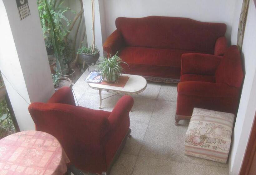 פנסיון Hostal Camiluz