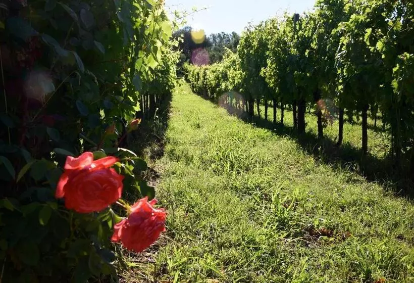 هتل Agriturismo Podere Villa Alessi