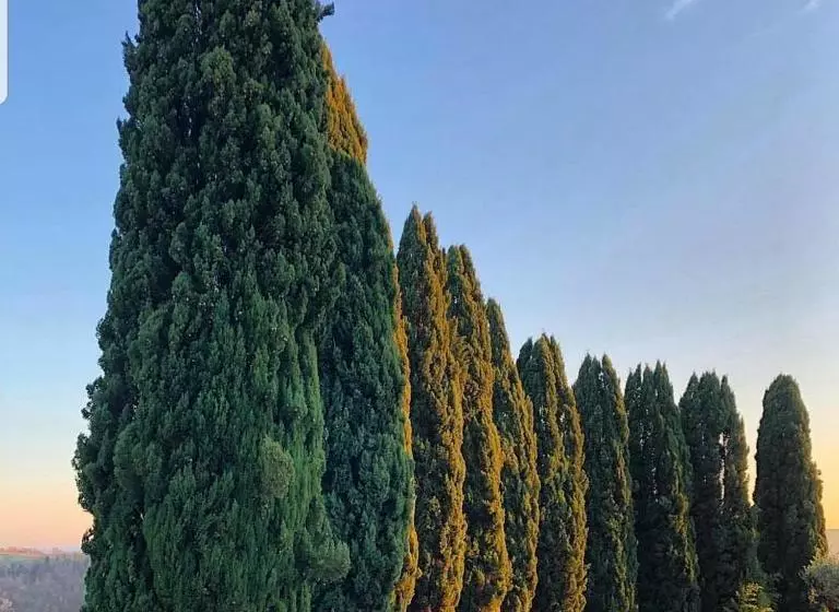 ホテル I Segreti Del Borgo