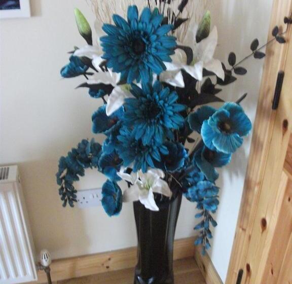 פנסיון Clare Street B&b