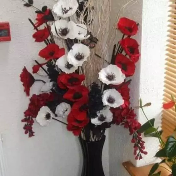 Majatalo Clare Street B&b