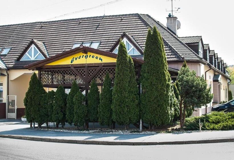 פנסיון Penzión Evergreen
