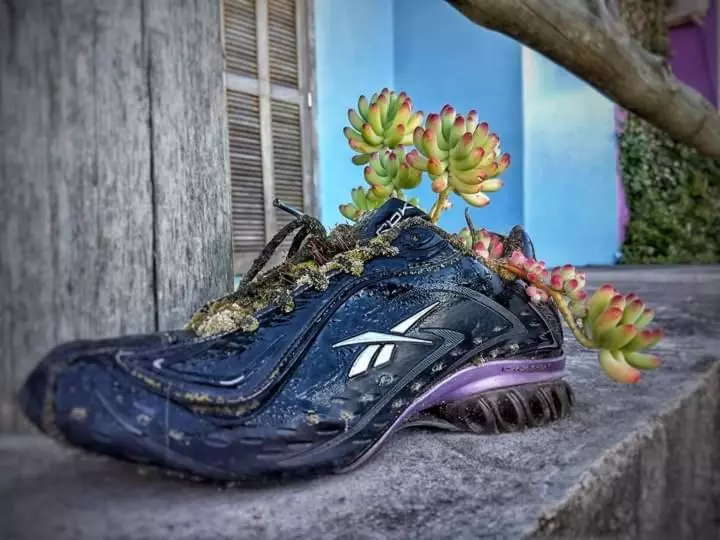 Majatalo Vila Ecológica Cambará