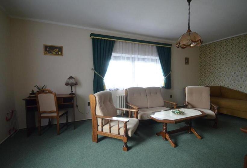 بنسيون Villa žerotín Penzion Bed & Breakfast