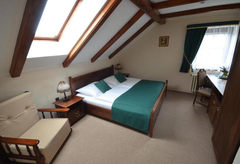 بنسيون Villa žerotín Penzion Bed & Breakfast