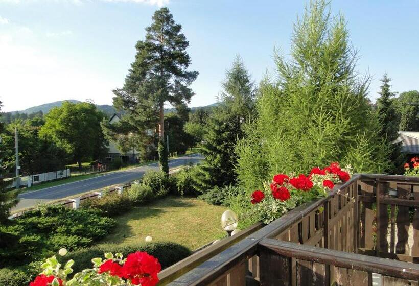 بنسيون Villa žerotín Penzion Bed & Breakfast