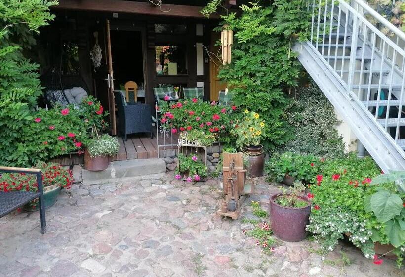 Pension Am Buhnenkopf