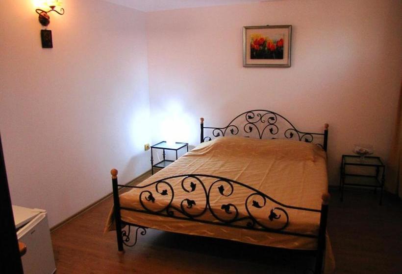 Pensiunea Pluto Sulina