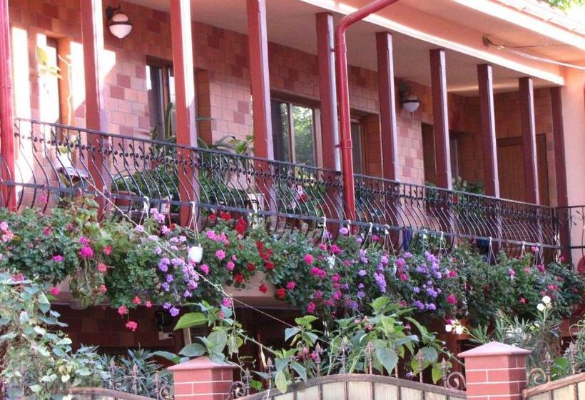 Pensiunea Pluto Sulina