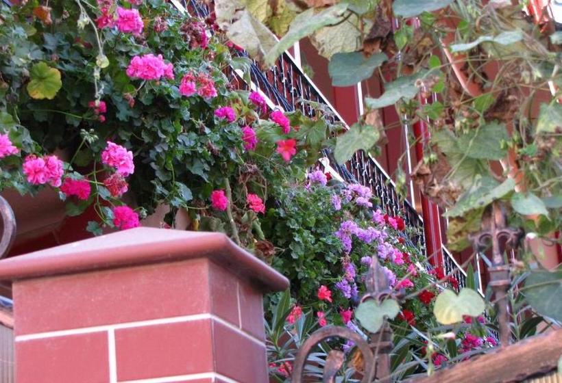 Pensiunea Pluto Sulina