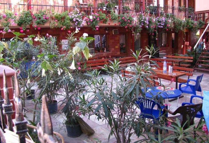 Pensiunea Pluto Sulina