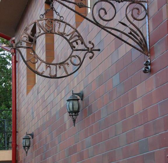 Pensiunea Pluto Sulina