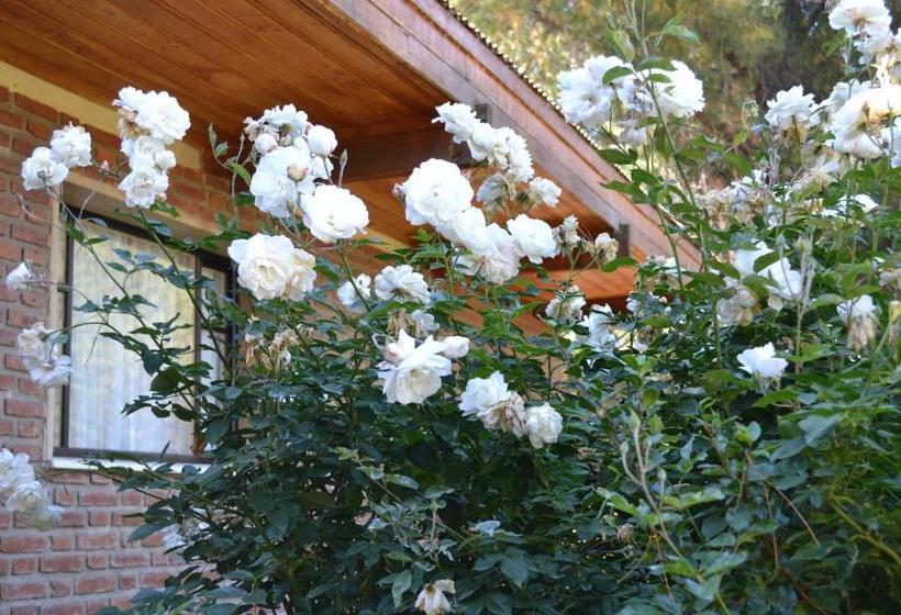 旅馆 Hosteria La Chacra