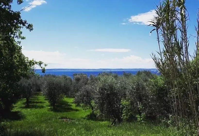 ホテル Agriturismo La Rocca