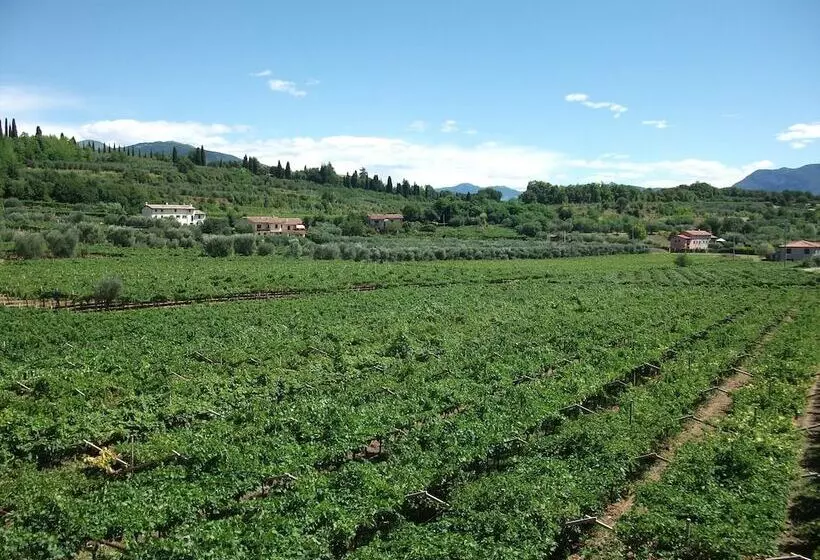ホテル Agriturismo La Rocca