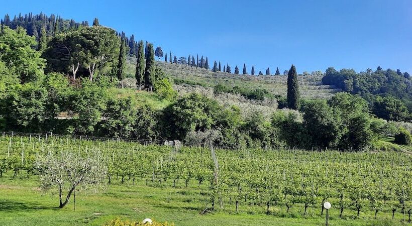 هتل Agriturismo La Rocca