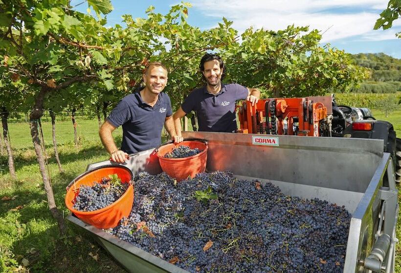 هتل Agriturismo La Rocca