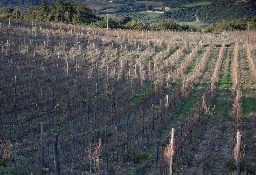 ホテル Tenuta La Silva