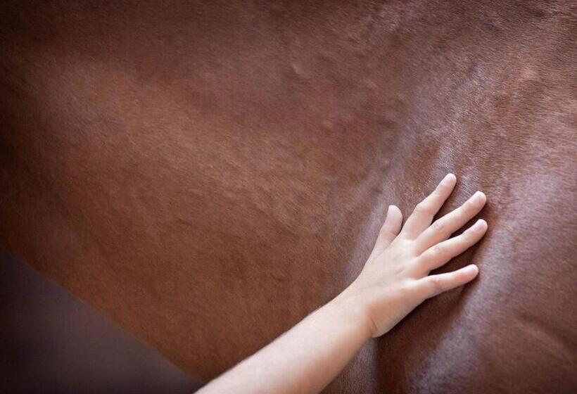 酒店 Tenuta La Silva