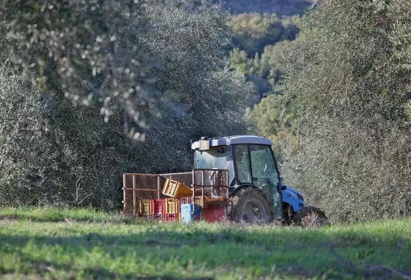 ホテル Tenuta La Silva