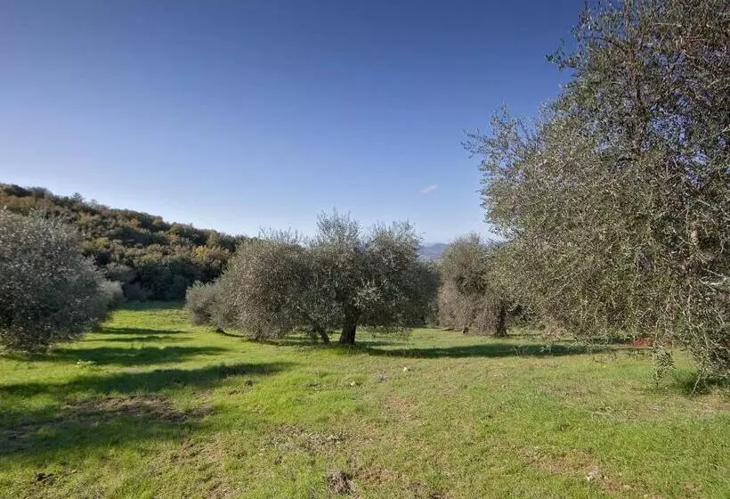 ホテル Tenuta La Silva