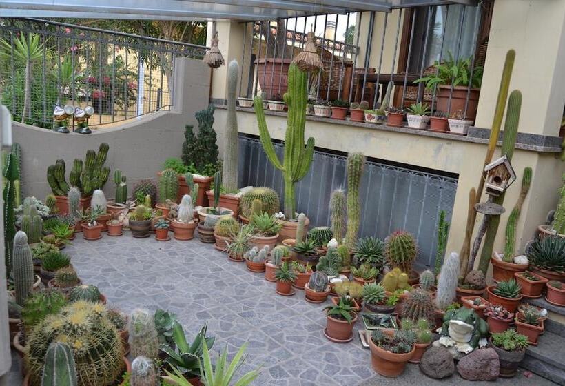 פנסיון Affittacamere Acquamarina