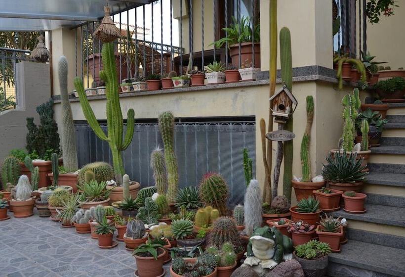 פנסיון Affittacamere Acquamarina