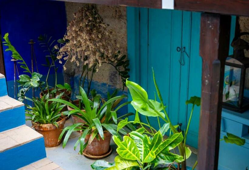 بنسيون Casa Luna