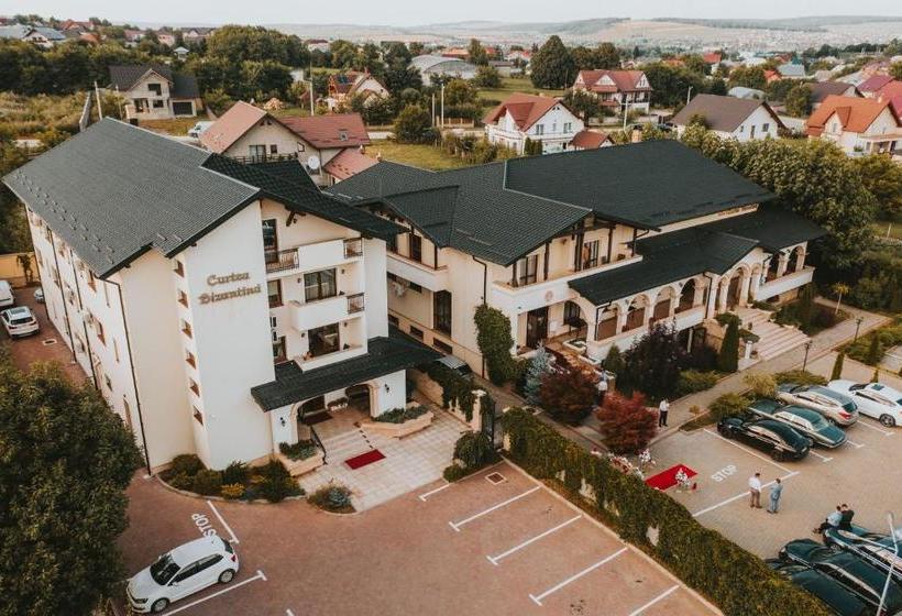 بنسيون Curtea Bizantina