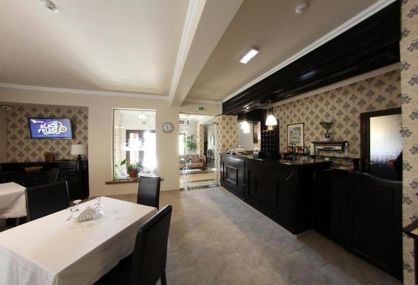 بنسيون Curtea Bizantina