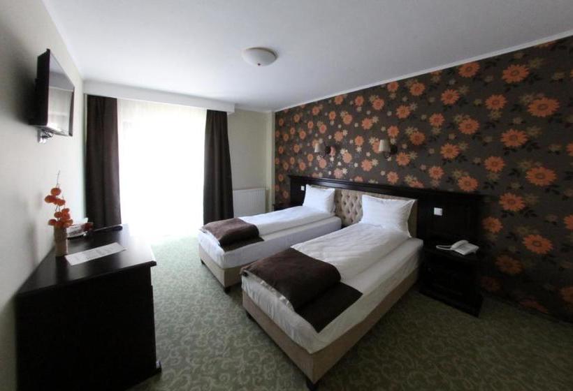 بنسيون Curtea Bizantina