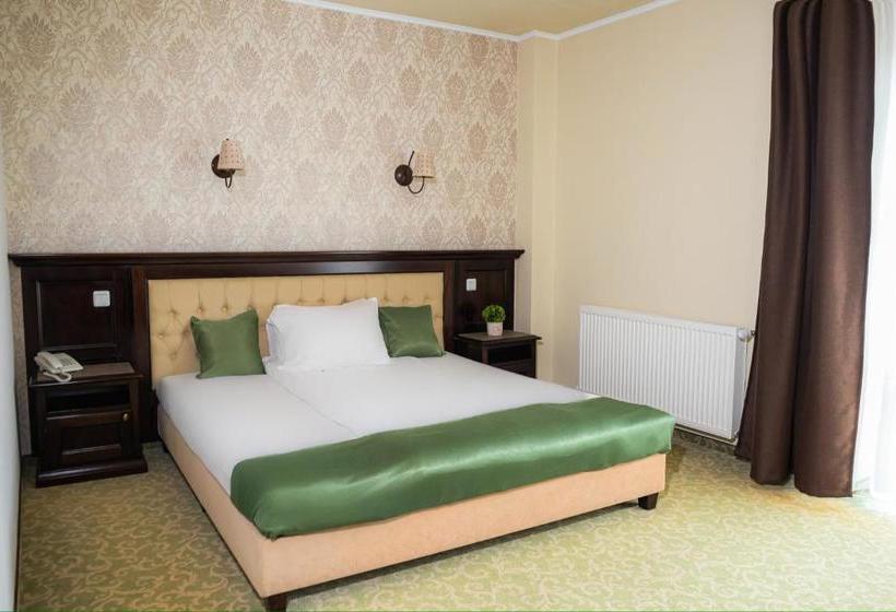 بنسيون Curtea Bizantina