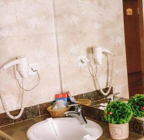 بنسيون Curtea Bizantina