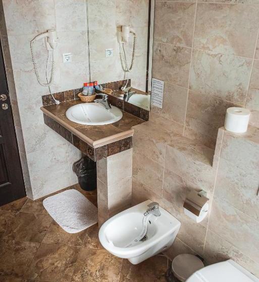 بنسيون Curtea Bizantina