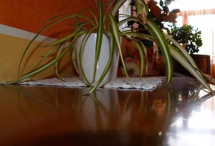 ホテル Agriturismo Ai Due Volti