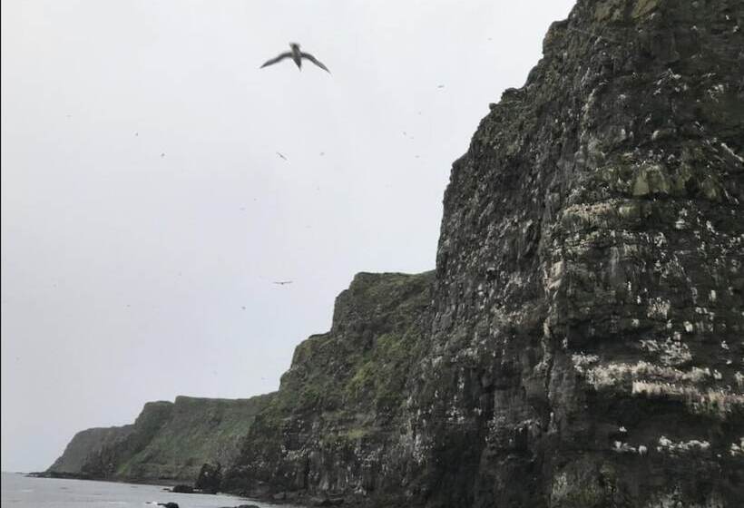 پانسیون Guesthouse Basar