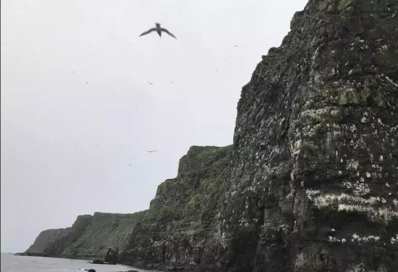 پانسیون Guesthouse Basar