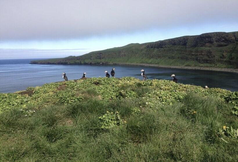 پانسیون Guesthouse Basar