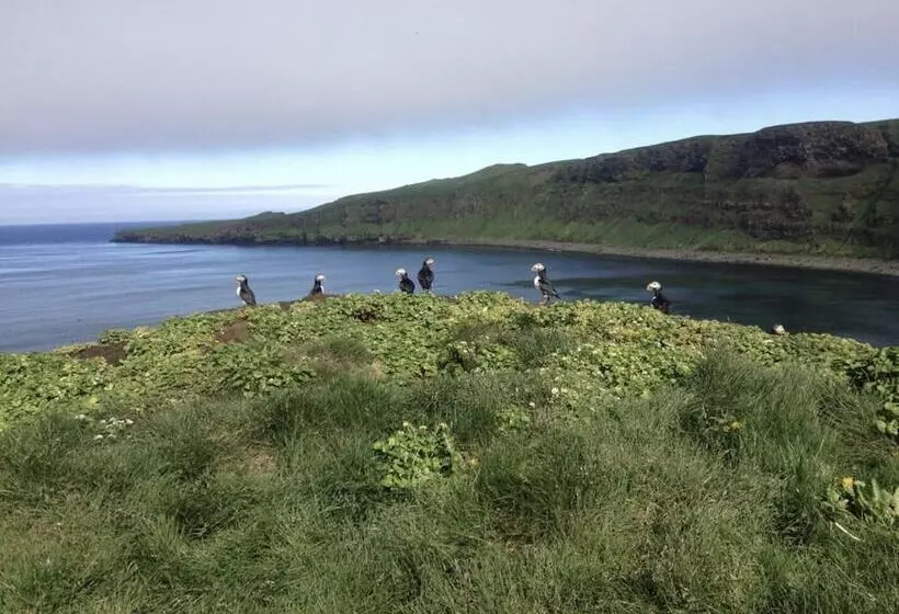 پانسیون Guesthouse Basar