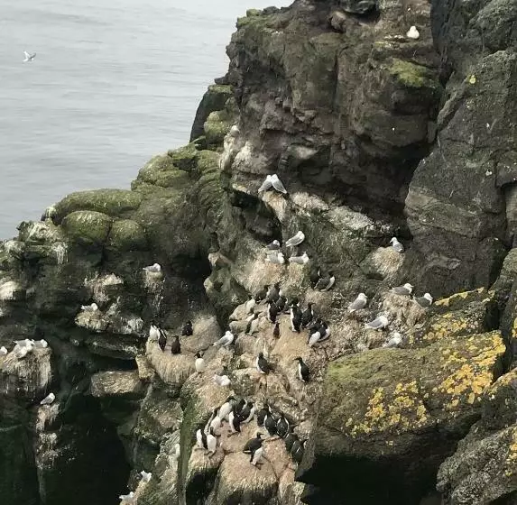 پانسیون Guesthouse Basar