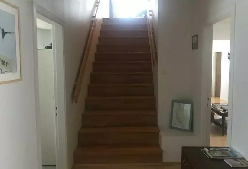 پانسیون Guesthouse Basar